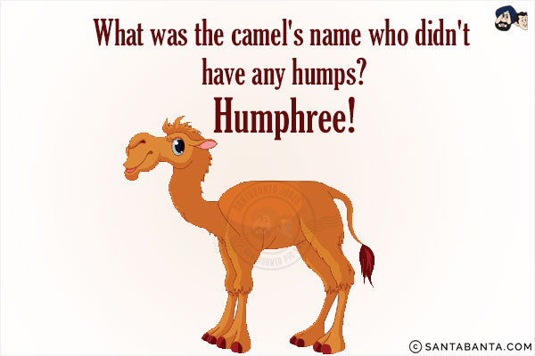 What was the camel's name who didn't have any humps?<br/>
Humphree!