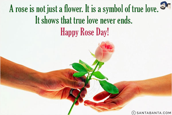 A rose is not just a flower. It is a symbol of true love. It shows that true love never ends. <br/>
Happy Rose Day!