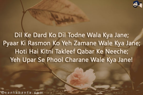 Dil Ke Dard Ko Dil Todne Wala Kya Jane;<br/>
Pyaar Ki Rasmon Ko Yeh Zamane Wale Kya Jane;<br/>
Hoti Hai Kitni Takleef Qabar Ke Neeche;<br/>
Yeh Upar Se Phool Charane Wale Kya Jane!