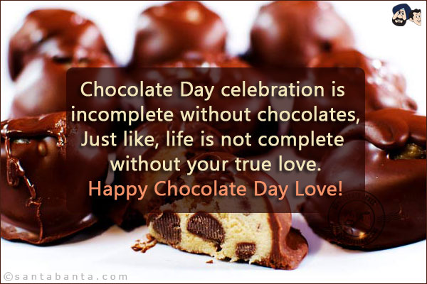 Chocolate Day celebration is incomplete without chocolates, <br/>
Just like, life is not complete without your true love. <br/>
Happy Chocolate Day Love!