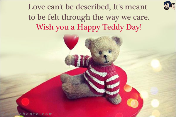 Love can't be described, It's meant to be felt through the way we care. <br/>
Wish you a Happy Teddy Day!