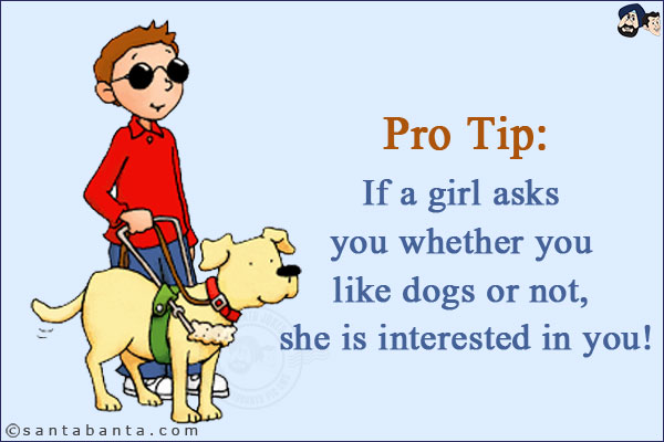 Pro Tip:<br/>
If a girl asks you whether you like dogs or not, she is interested in you!
