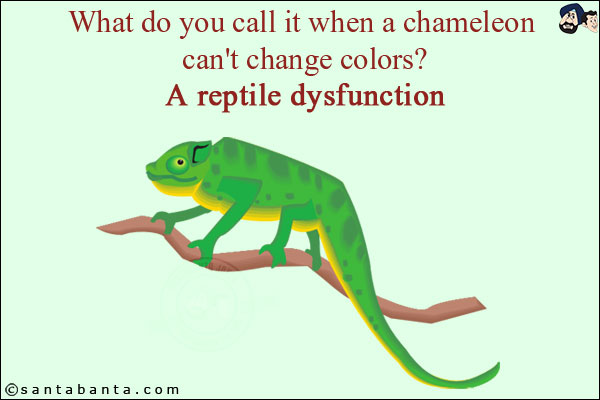 What do you call it when a chameleon can't change colors?<br/>
A reptile dysfunction!