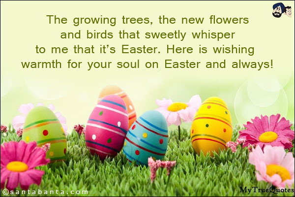 The growing trees, the new flowers and birds that sweetly whisper to me that it's Easter. Here is wishing warmth for your soul on Easter and always!