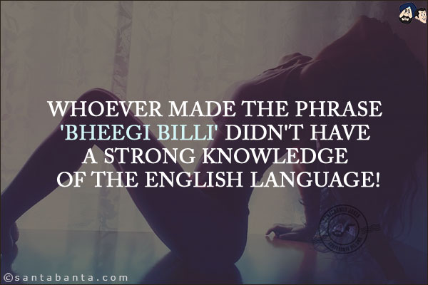 Whoever made the phrase 'Bheegi Billi' didn't have a strong knowledge of the English language!