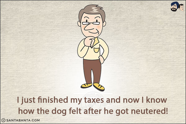 I just finished my taxes and now I know how the dog felt after he got neutered!