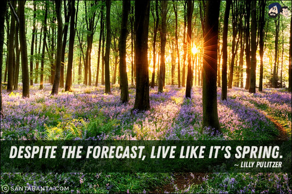 Despite the forecast, live like it's spring.