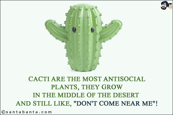 Cacti are the most antisocial plants, they grow in the middle of the desert and still like, `Don't come near me`!