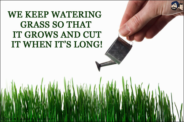 We keep watering grass so that it grows and cut it when it's long!