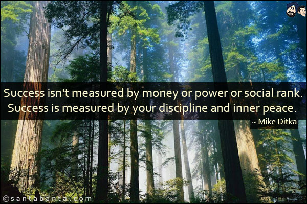 Success isn't measured by money or power or social rank. Success is measured by your discipline and inner peace.
