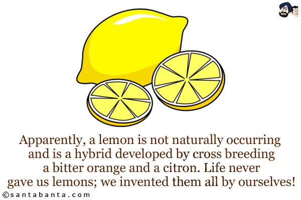 Apparently, a lemon is not naturally occurring and is a hybrid developed by cross-breeding a bitter orange and a citron. Life never gave us lemons; we invented them all by ourselves!