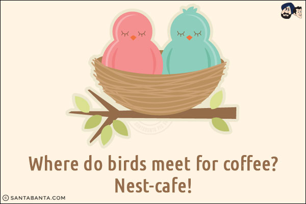 Where do birds meet for coffee?<br/>
Nest-cafe!