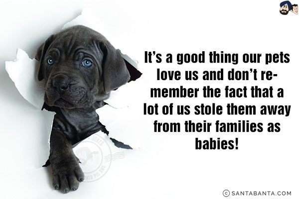 It's a good thing our pets love us and don't remember the fact that a lot of us stole them away from their families as babies!