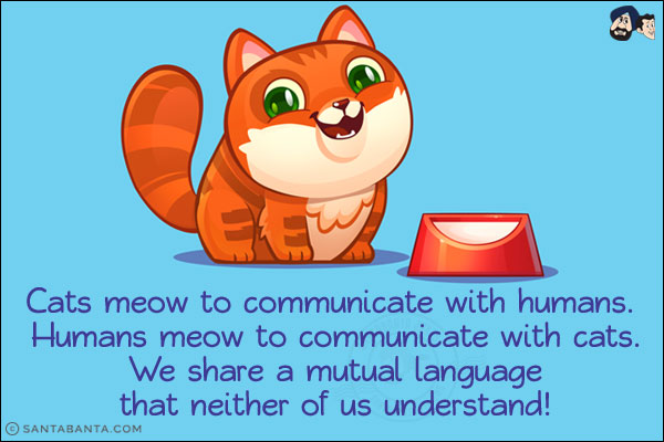 Cats meow to communicate with humans. Humans meow to communicate with cats. We share a mutual language that neither of us understand!
