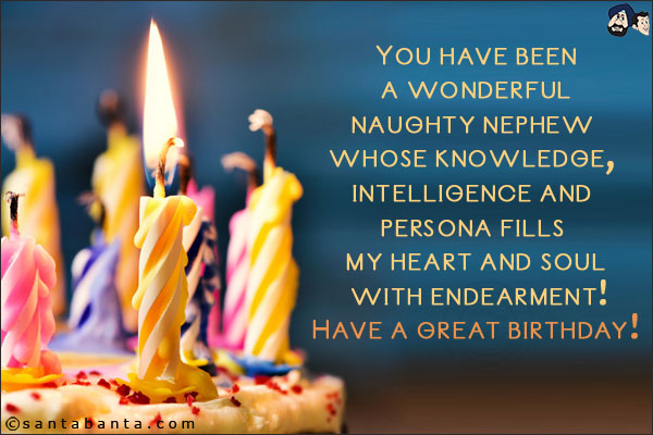 You have been a wonderful naughty nephew whose knowledge, intelligence and persona fills my heart and soul with endearment!<br/>
Have a great birthday!