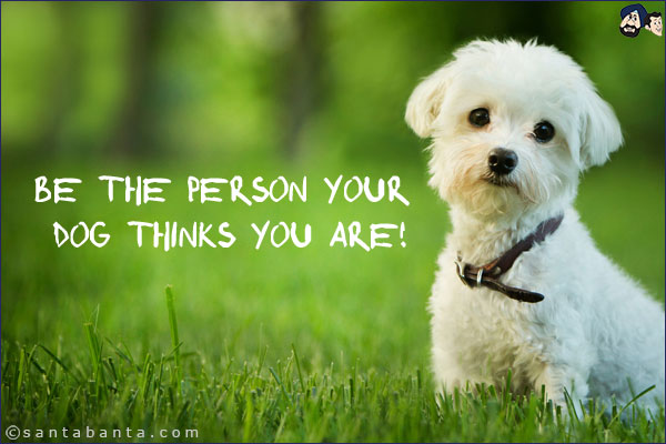 Be the person your dog thinks you are!