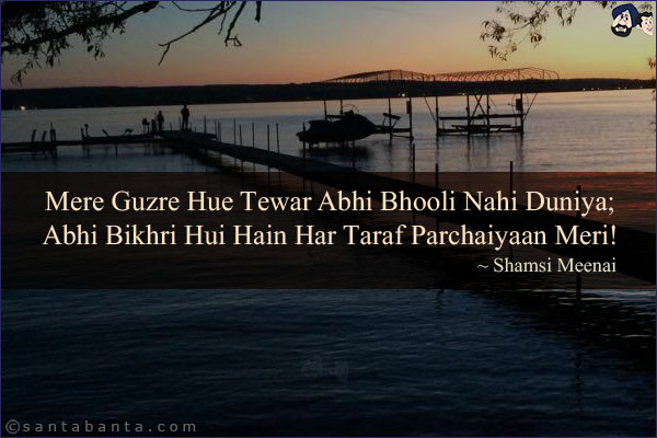 Mere Guzre Hue Tewar Abhi Bhooli Nahi Duniya;<br/>
Abhi Bikhri Hui Hain Har Taraf Parchaiyaan Meri!<br/><br/>
Tewar: Moods