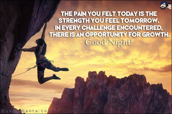 The pain you felt today is the strength you feel tomorrow. In every challenge encountered, there is an opportunity for growth.<br/>
Good Night!