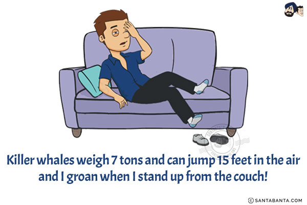 Killer whales weigh 7 tons and can jump 15 feet in the air and I groan when I stand up from the couch!
