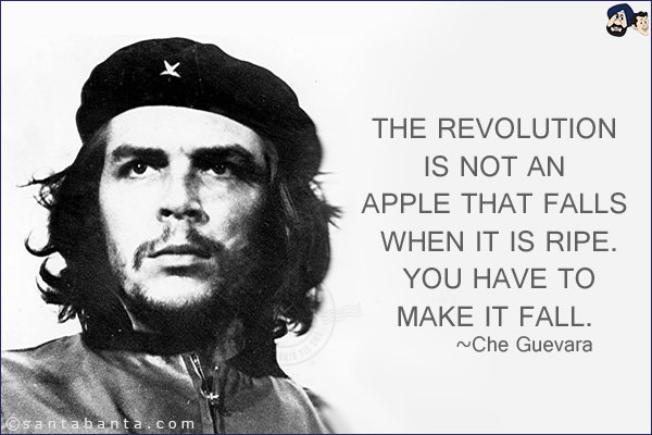 The revolution is not an apple that falls when it is ripe. You have to make it fall.
