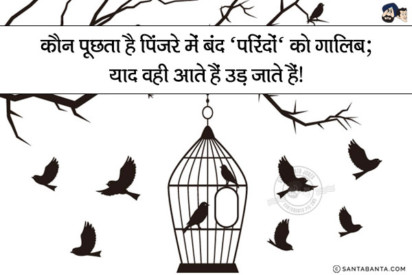 कौन पूछता है पिंजरे में बंद 'परिंदों' को ग़ालिब;<br/>
याद वही आते हैं उड़ जाते हैं!