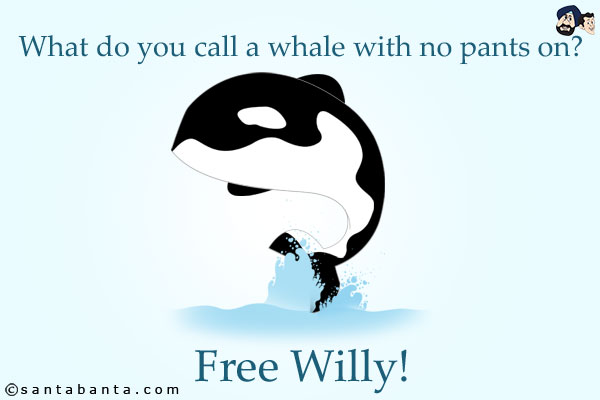 What do you call a whale with no pants on?<br/>
Free Willy!