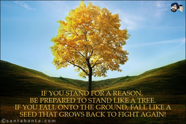 If you stand for a reason, be prepared to stand like a tree. If you fall onto the ground, fall like a seed that grows back to fight again!