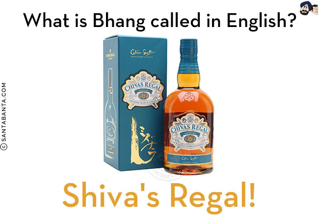 What is Bhang called in English?<br/>
Shiva's Regal!