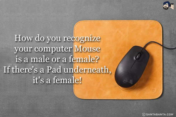 How do you recognize your computer Mouse is a male or a female?<br/>
If there's a Pad underneath, it's a female!