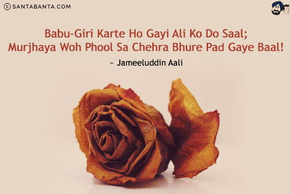 Babu-Giri Karte Ho Gayi Ali Ko Do Saal;<br/>
Murjhaya Woh Phool Sa Chehra Bhure Paḍ Gaye Baal!