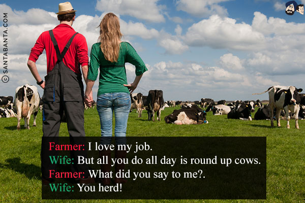 Farmer: I love my job.<br/>
Wife: But all you do all day is round up cows.<br/>
Farmer: What did you say to me?<br/>
Wife: You herd!