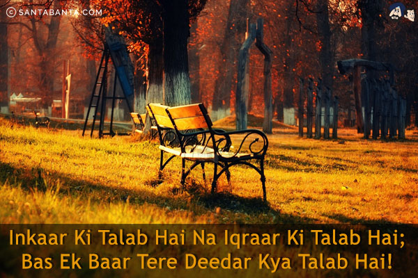 Inkaar Ki Talab Hai Na Iqraar Ki Talab Hai;<br/>
Bas Ek Baar Tere Deedar Kya Talab Hai!