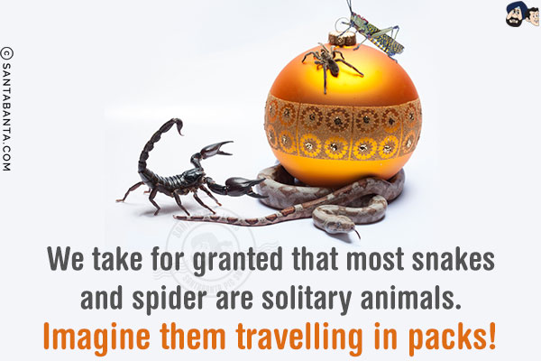 We take for granted that most snakes and spider are solitary animals. Imagine them travelling in packs!