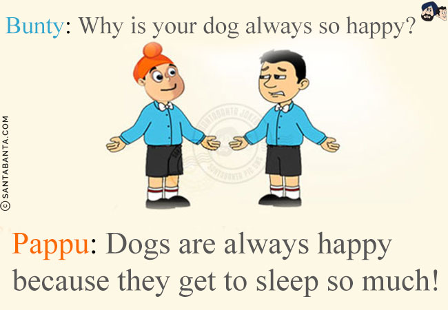 Bunty: Why is your dog always so happy?<br/>
Pappu: Dogs are always happy because they get to sleep so much!