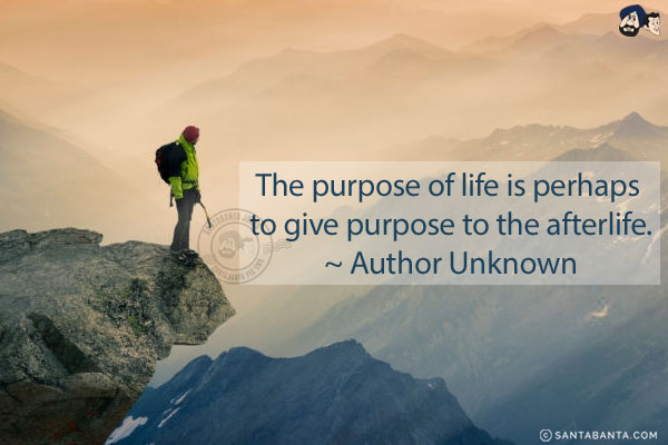 The purpose of life is perhaps to give purpose to the afterlife.