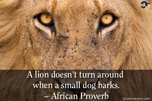 A lion doesn't turn around when a small dog barks.