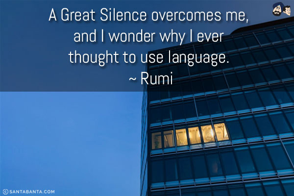 A great silence overcomes me, and I wonder why I ever thought to use language.