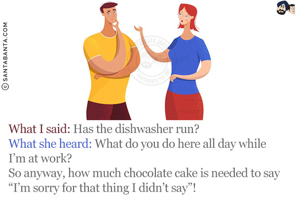 What I said: Has the dishwasher run?<br/>
What she heard: What do you do here all day while I'm at work?<br/>
So anyway, how much chocolate cake is needed to say `I'm sorry for that thing I didn't say`!