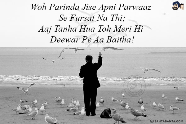 Woh Parinda Jise Apni Parwaaz Se Fursat Na Thi;<br/>
Aaj Tanha Hua Toh Meri Hi Deewar Pe Aa Baitha!