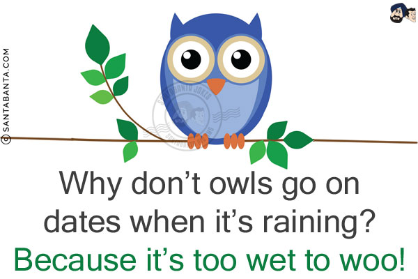 Why don't owls go on dates when it's raining?<br/>
Because it's too wet to woo!