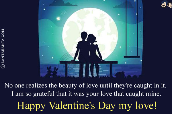 No one realizes the beauty of love until they're caught in it. I am so grateful that it was your love that caught mine.<br/>
Happy Valentine's Day my love!