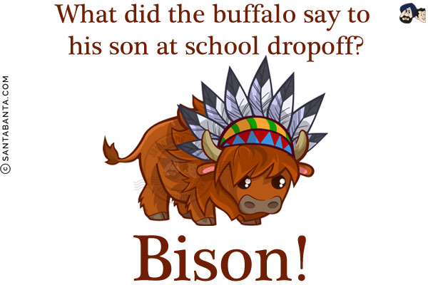 What did the buffalo say to his son at school dropoff?<br/>
Bison!