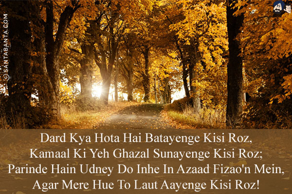 Dard Kya Hota Hai Batayenge Kisi Roz,<br/>
Kamaal Ki Yeh Ghazal Sunayenge Kisi Roz;<br/>
Parinde Hain Udney Do Inhe In Azaad Fizao'n Mein,<br/>
Agar Mere Hue To Laut Aayenge Kisi Roz!