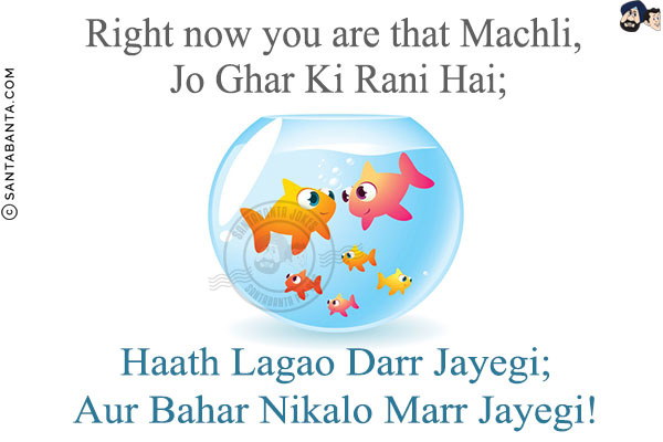 Right now you are that Machli, Jo Ghar Ki Rani Hai;<br/>
Haath Lagao Darr Jayegi;<br/>
Aur Bahar Nikalo Marr Jayegi!