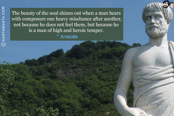 The beauty of the soul shines out when a man bears with composure one heavy mischance after another, not because he does not feel them, but because he is a man of high and heroic temper.