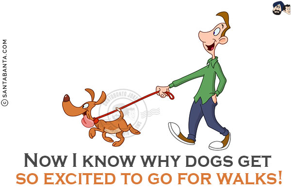 Now I know why dogs get so excited to go for walks!