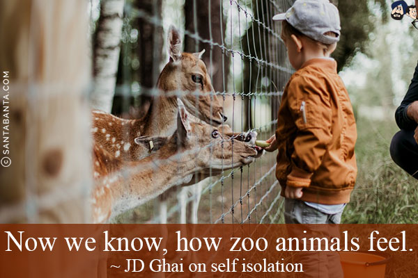 Now we know, how zoo animals feel.