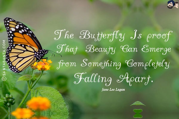 The butterfly is proof that beauty can emerge from something completely falling apart.