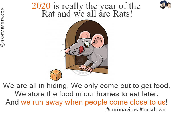 2020 is really the year of the Rat and we all are Rats!<br/>

We are all in hiding.<br/>
We only come out to get food.<br/>
We store the food in our homes to eat later.<br/>
And we run away when people come close to us!