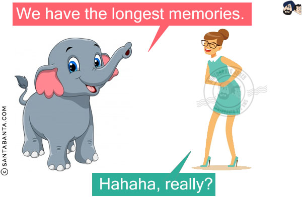 Elephants: We have the longest memories.<br/>
Women: Hahaha, really?